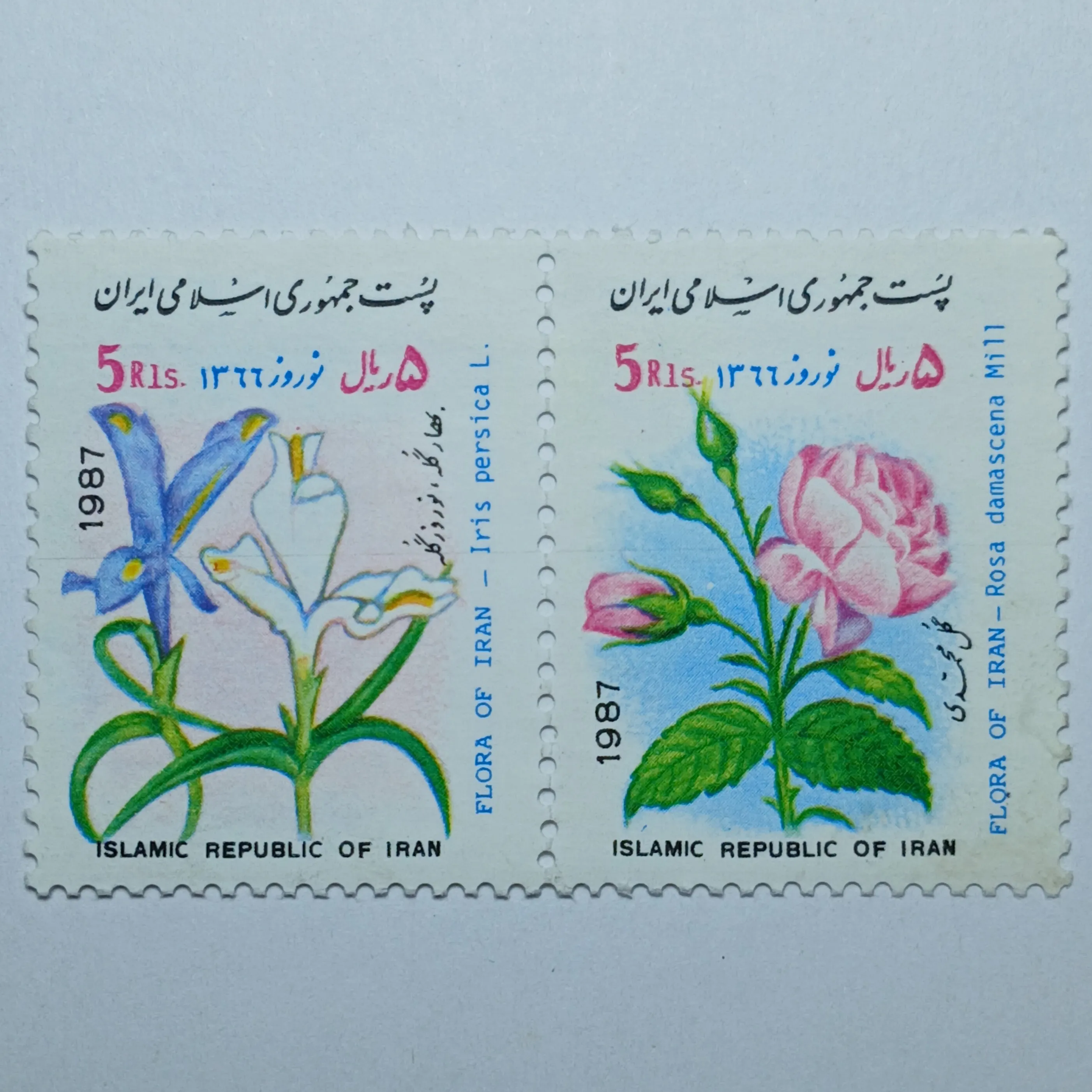 تمبر ایران 5 ریال جمهوری اسلامی ایران جفت یادبودی پوشش گیاهی طرح گل محمدی و زنبق ایرانی
